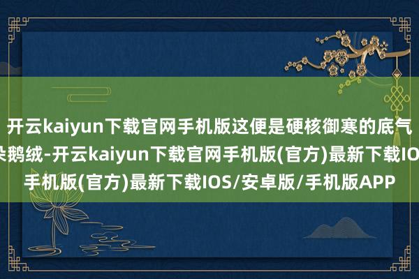 开云kaiyun下载官网手机版这便是硬核御寒的底气！用的齐是高品性大朵鹅绒-开云kaiyun下载官网手机版(官方)最新下载IOS/安卓版/手机版APP