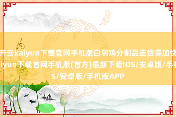 开云kaiyun下载官网手机版白羽鸡分割品走货量加快-开云kaiyun下载官网手机版(官方)最新下载IOS/安卓版/手机版APP