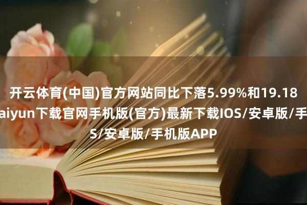 开云体育(中国)官方网站同比下落5.99%和19.18%-开云kaiyun下载官网手机版(官方)最新下载IOS/安卓版/手机版APP