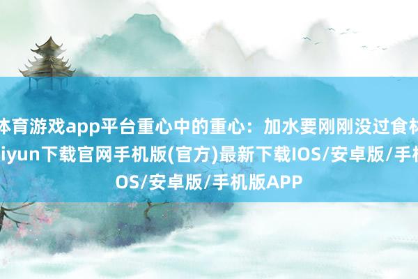 体育游戏app平台重心中的重心：加水要刚刚没过食材-开云kaiyun下载官网手机版(官方)最新下载IOS/安卓版/手机版APP
