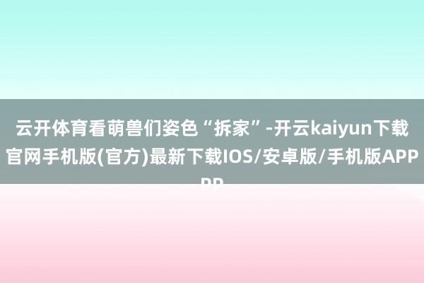 云开体育看萌兽们姿色“拆家”-开云kaiyun下载官网手机版(官方)最新下载IOS/安卓版/手机版APP