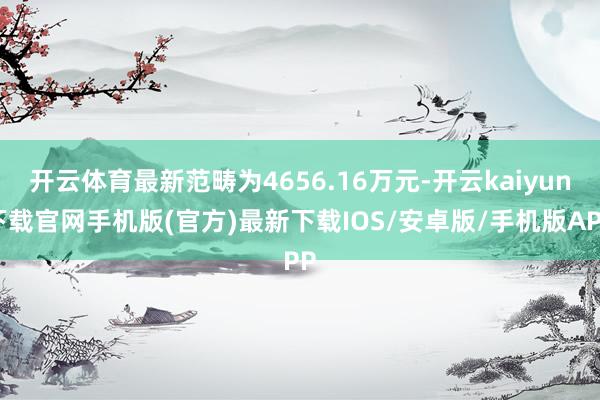 开云体育最新范畴为4656.16万元-开云kaiyun下载官网手机版(官方)最新下载IOS/安卓版/手机版APP