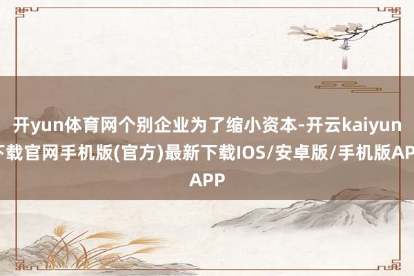 开yun体育网个别企业为了缩小资本-开云kaiyun下载官网手机版(官方)最新下载IOS/安卓版/手机版APP