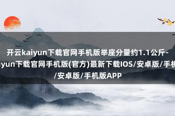 开云kaiyun下载官网手机版举座分量约1.1公斤-开云kaiyun下载官网手机版(官方)最新下载IOS/安卓版/手机版APP
