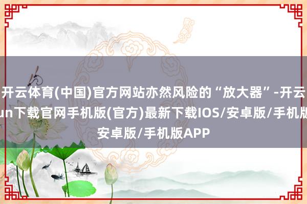开云体育(中国)官方网站亦然风险的“放大器”-开云kaiyun下载官网手机版(官方)最新下载IOS/安卓版/手机版APP